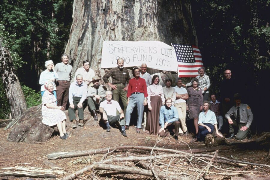A group of people pose in front of a giant tree with a banner reading SEMPERVIRENS CLUB 1900 FUND 1975 and an American flag pinned to the tree in a forest setting.