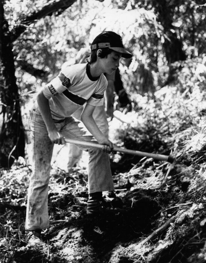 A child wearing a cap and striped T-shirt uses a shovel to dig in a wooded, outdoor area. Sunlight filters through the trees, and the ground looks uneven and covered with leaves.