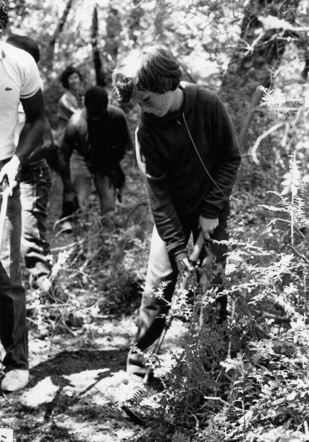 A group of people work together outdoors in a wooded area, using tools to dig or clear ground. Sunlight filters through the trees as they focus on their task among tall plants and foliage.