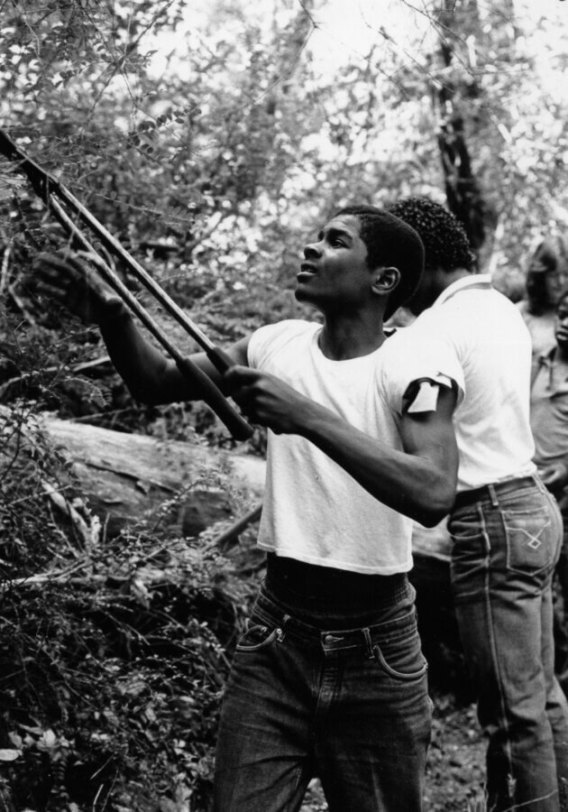 A child in a white t-shirt and jeans uses pruning shears to cut branches outdoors, with other people standing nearby amid trees and foliage.