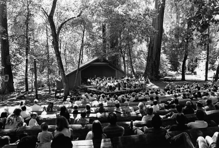 A large audience sits on wooden benches in an outdoor amphitheater surrounded by tall trees, watching a performance on a covered stage in daylight.
