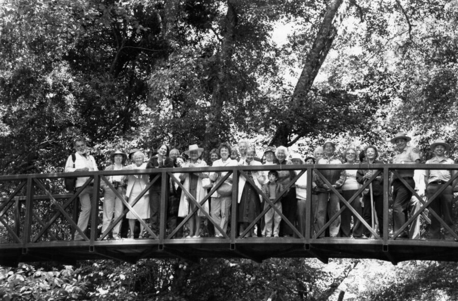 A large group of people stand closely together on a wooden bridge outdoors, surrounded by tall trees and dappled sunlight.
