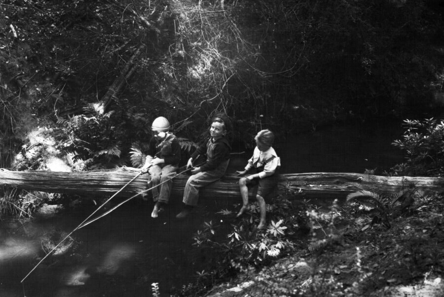 Children in the forest fishing, sitting on fallen log that lies across a creek.