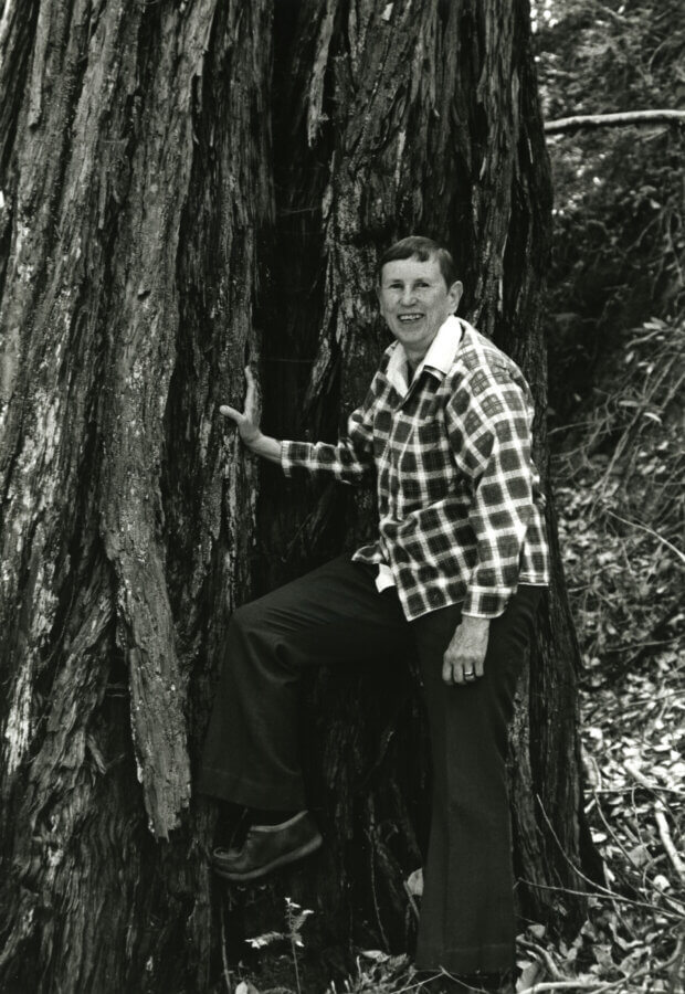 A person wearing a plaid jacket and dark pants stands with one foot on a large tree trunk in a forest, touching the bark and facing the camera.