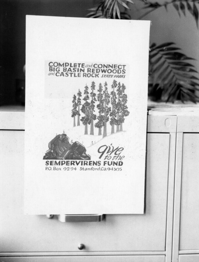 A poster promoting the Sempervirens Fund leans against a filing cabinet. The poster features tall redwood trees, text about connecting Big Basin Redwoods and Castle Rock State Parks, and the fund’s address in Stanford, CA.