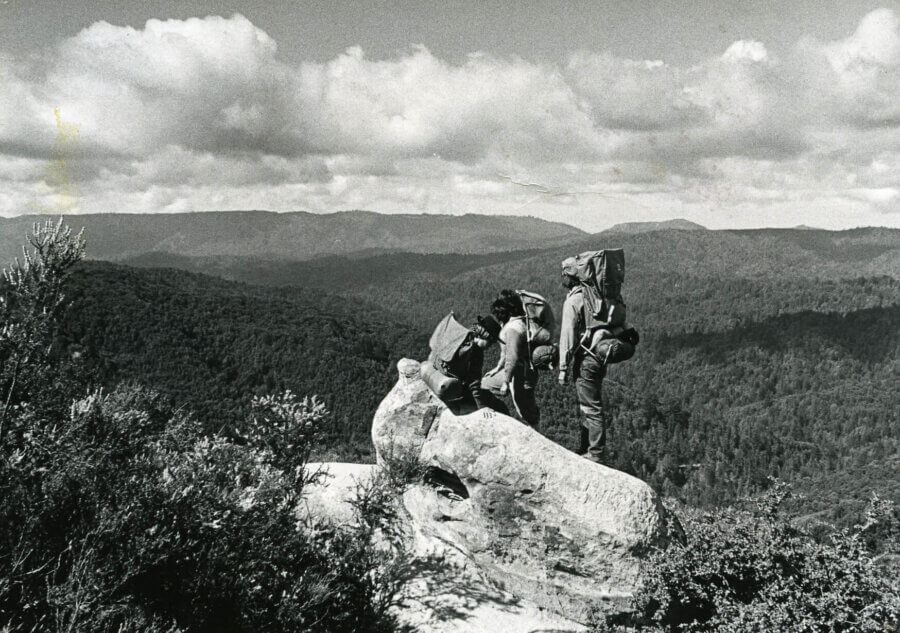 A group of people walk outdoors across a sunlit field, with trees in the background.