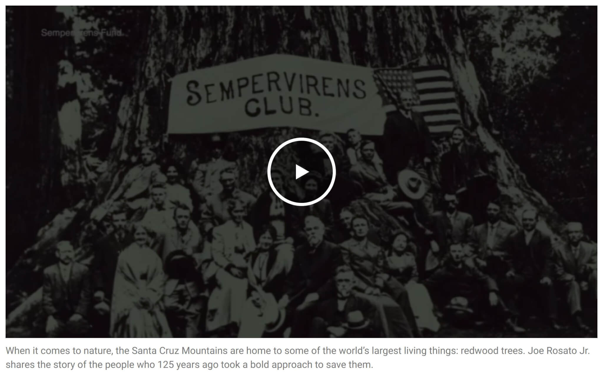 FireShot Pro Webpage Capture 085 'Remembering The Bay Area Citizens Who Saved The Redwoods 125 Years Ago – NBC Bay Area' Www.nbcbayarea