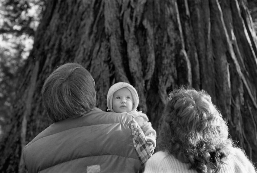 A baby in a hooded jacket is held up between two adults, all facing a massive tree trunk in a forest. The baby looks upwards, sunlight illuminating their face.