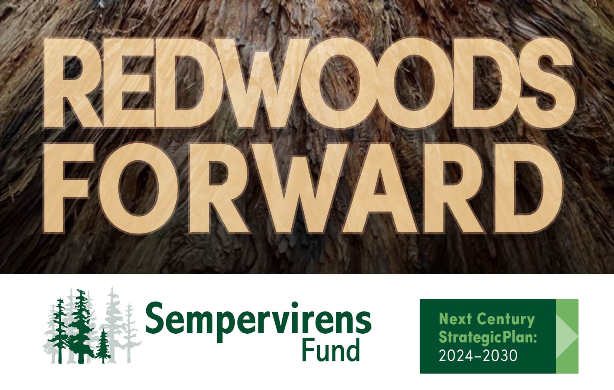 RedwoodsForward
