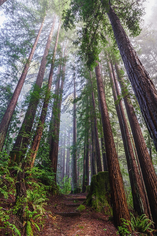 Eagle Creek Trail OrendaRanduch S