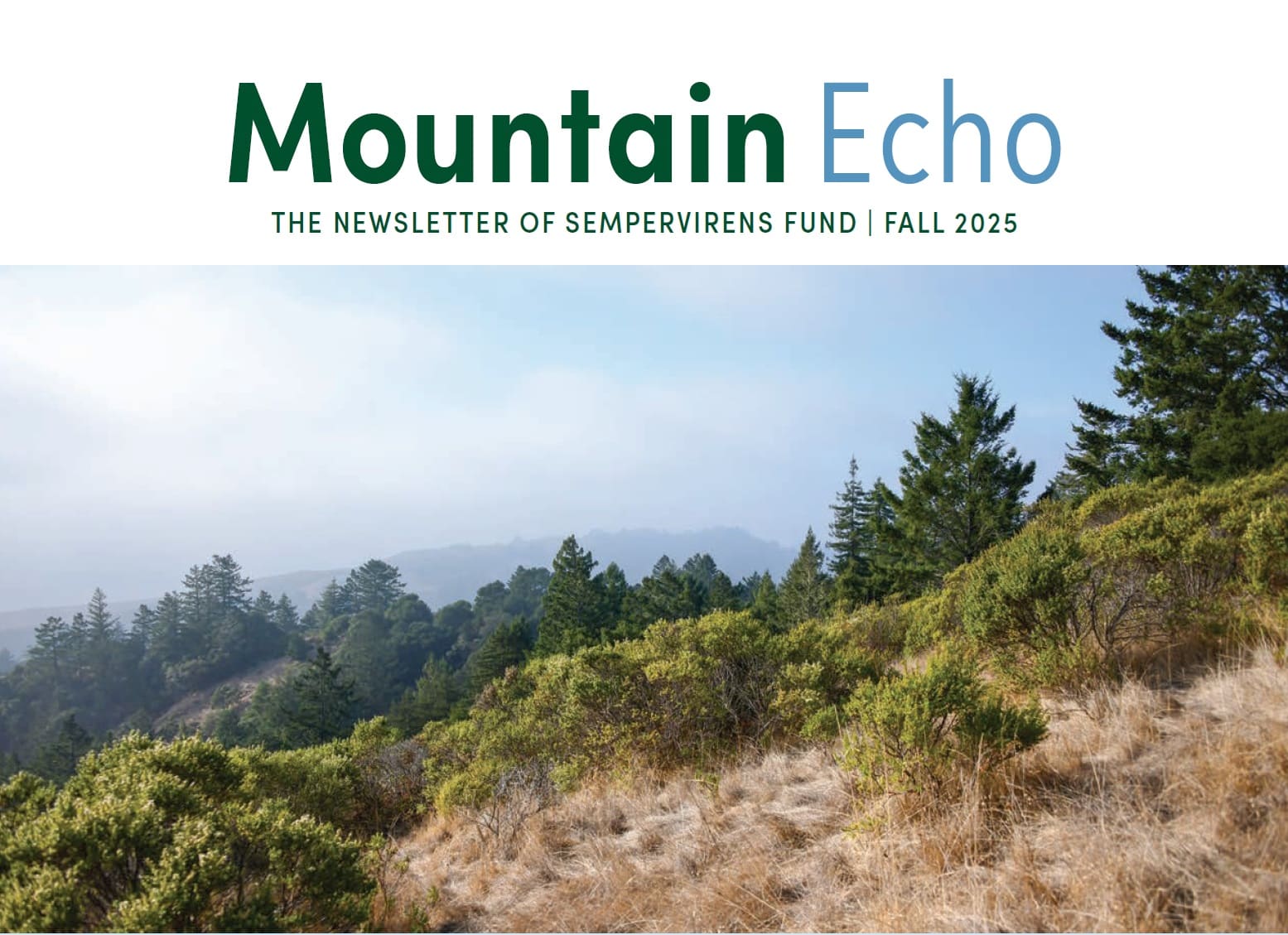 SempervirensFund MountainEchoNewsletter Fall 25 Final CVR