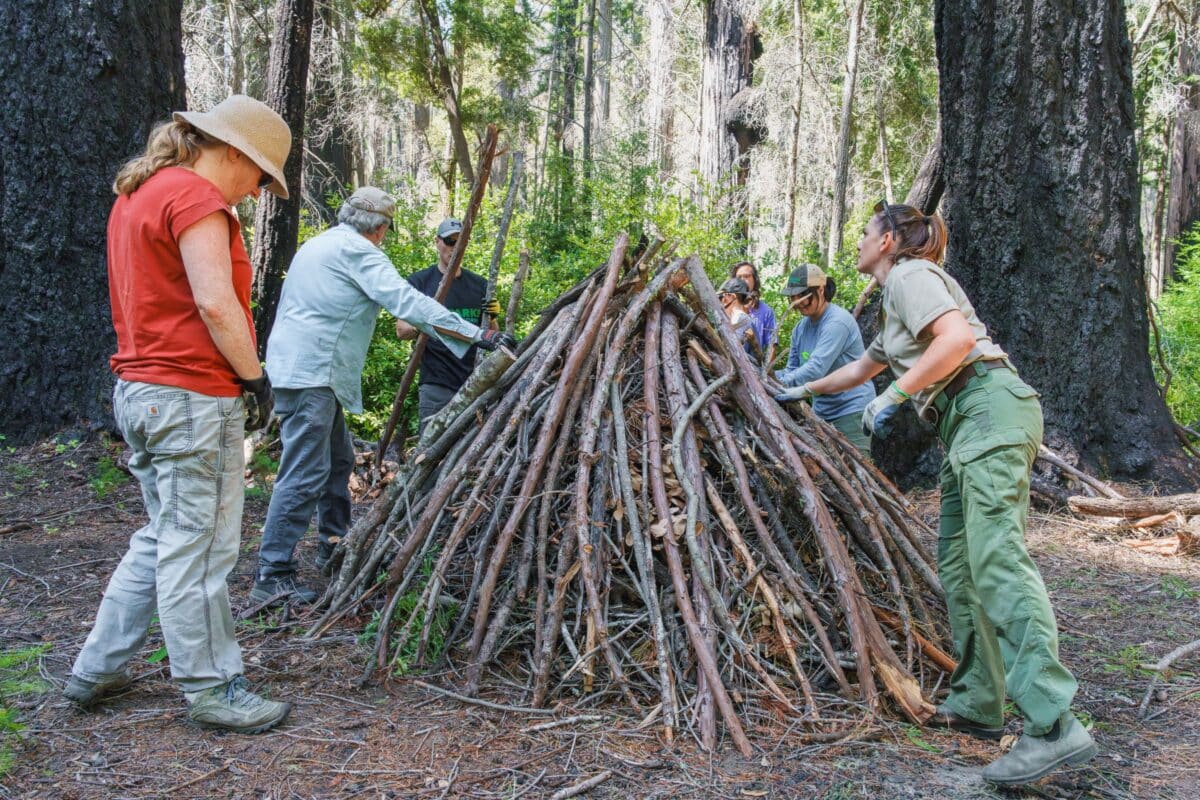 Fuel reduction at Big Basin