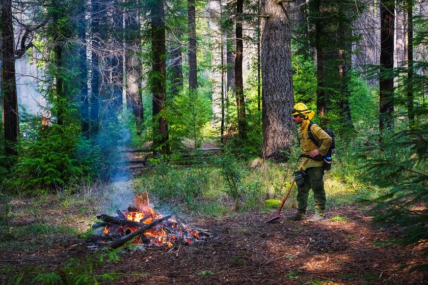 20260117 BigBasinPrescribedFire Randuch 222 3