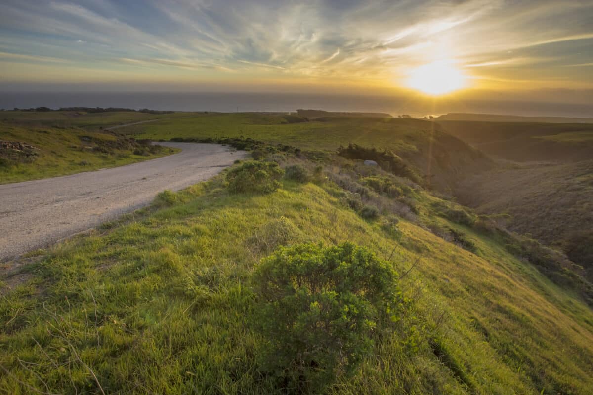 A path winds through open, grassy area with a view of the sunset over the ocean in the distance