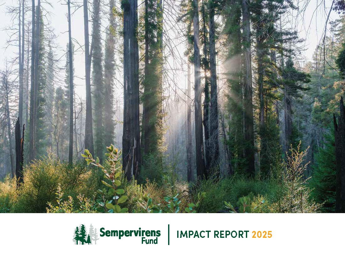 SempervirensFund 2025 Impact Report Page 01