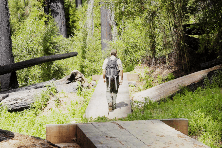State Parks employee hiking on Timms Creek Loop trail with new bridges being built
