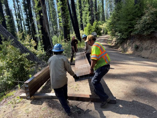 Four people in hard hats lift a fiberglass segment of a bridge being installed for the Timms Creek Loop Trail in Big Basin Redwoods State Park. The trail is cleared and surrounded by redwoods recovering from wildfire, with green shoots along the trunks of the trees.