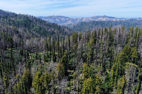 Timms Creek Trail Drone Shot 3