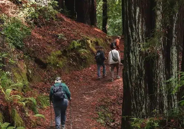 20251114 GroupiNaturalistHike Randuch 19 H