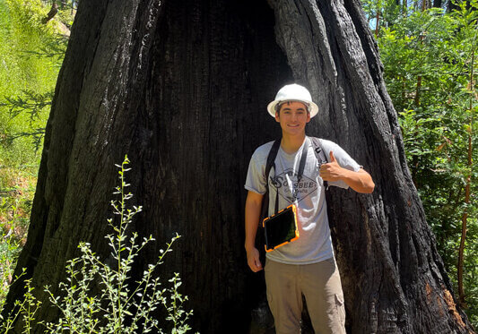 James Salvador with a surviving, fire-hollowed redwood in Big Basin, by Luke Williams