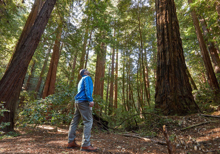 Camp Jones Gulch Conservation Easement Stewardship Plan By Canopy Dynamics