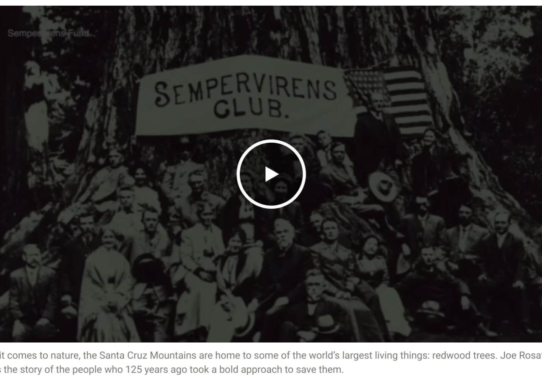 FireShot Pro Webpage Capture 085 'Remembering The Bay Area Citizens Who Saved The Redwoods 125 Years Ago – NBC Bay Area' Www.nbcbayarea