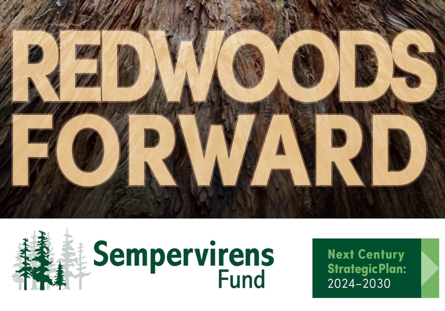RedwoodsForward