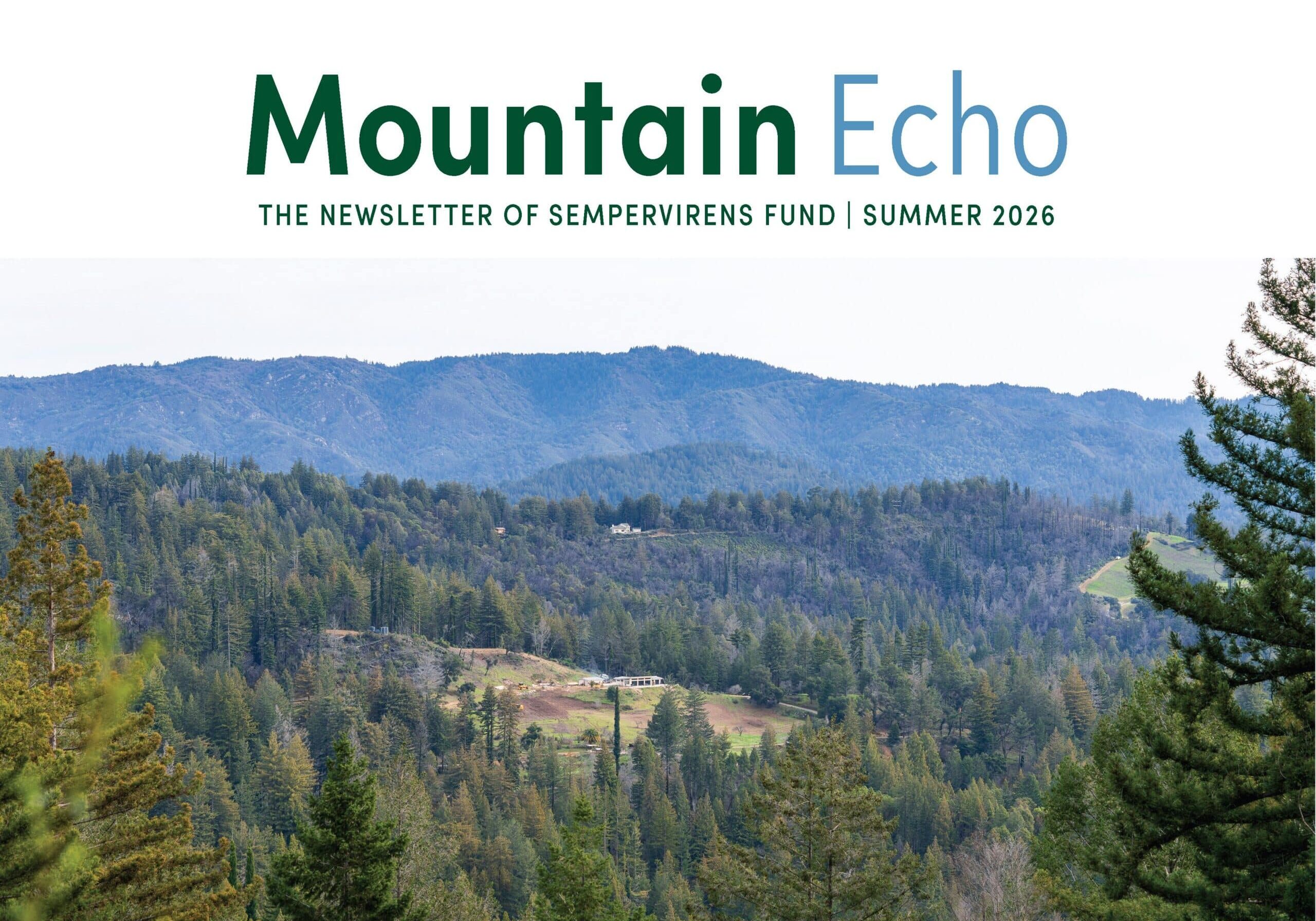 SVF Newsletter S26 CVR