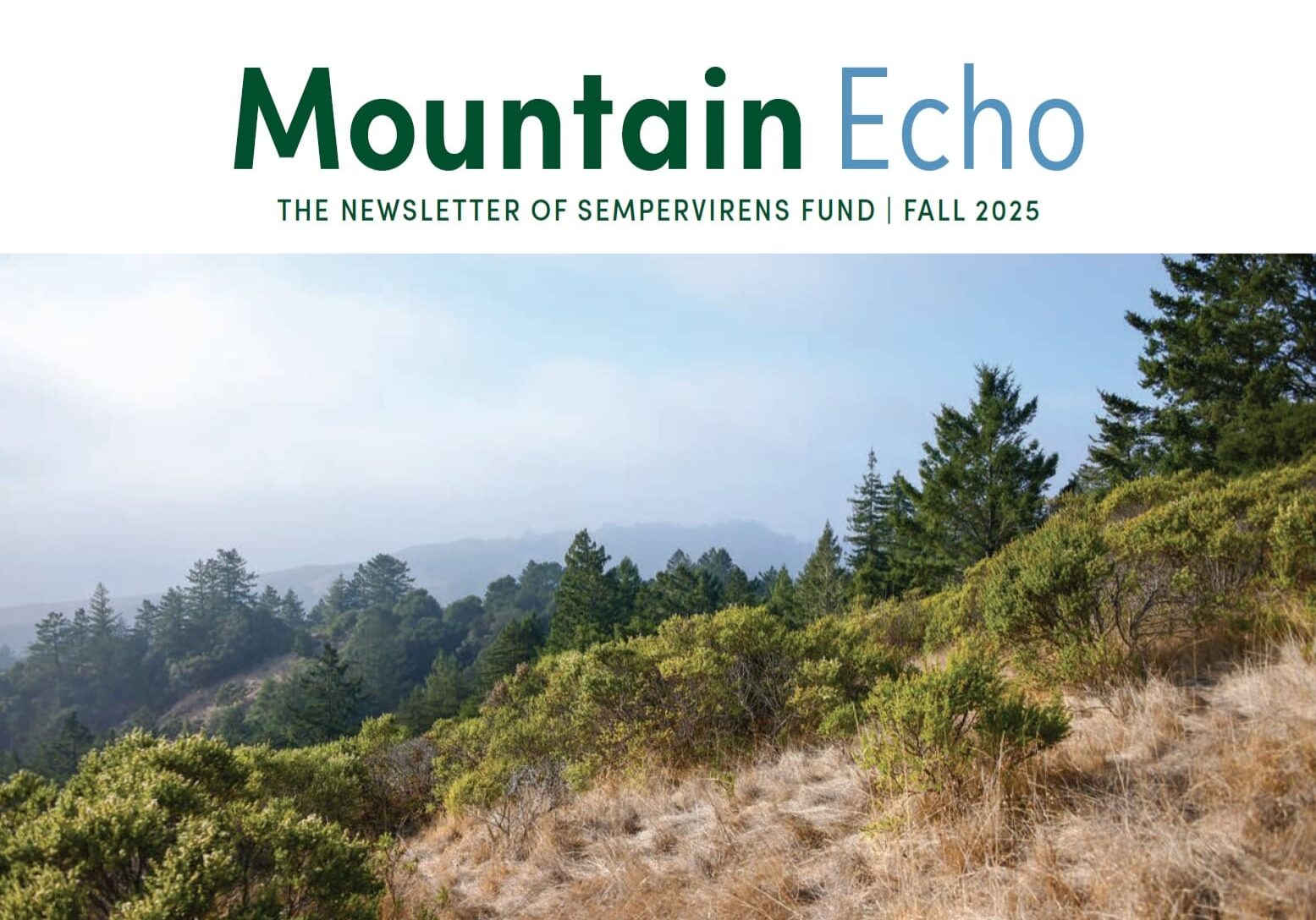 SempervirensFund MountainEchoNewsletter Fall 25 Final CVR