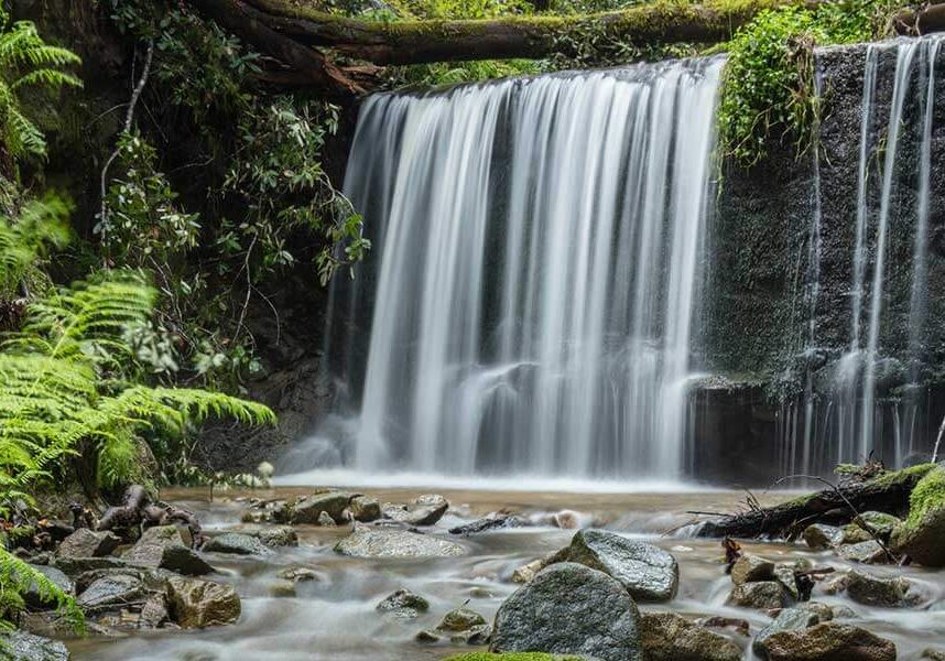 San Vicente Redwoods Waterfall by Ian Bornarth